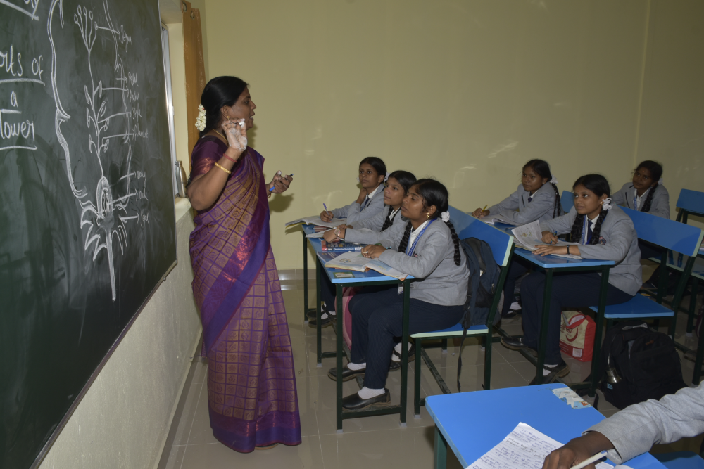 Qualified and Dedicated Teachers
